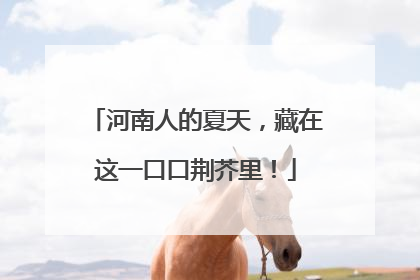 河南人的夏天，藏在这一口口荆芥里！