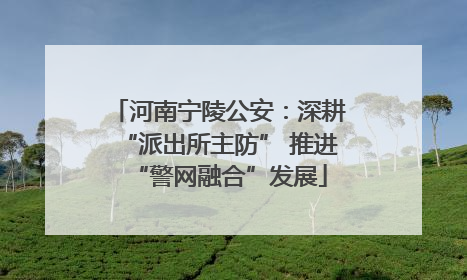 河南宁陵公安:深耕“派出所主防” 推进“警网融合”发展