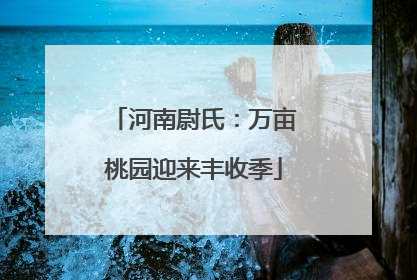 河南尉氏：万亩桃园迎来丰收季