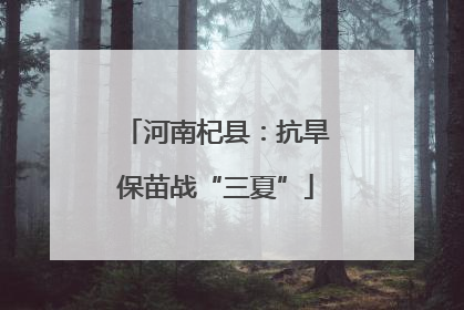 河南杞县：抗旱保苗战“三夏”