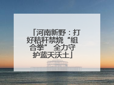 河南新野：打好秸秆禁烧“组合拳” 全力守护蓝天沃土