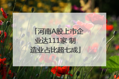 河南A股上市企业达111家 制造业占比超七成