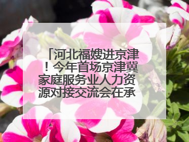 河北福嫂进京津！今年首场京津冀家庭服务业人力资源对接交流会在承德举办