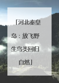 河北秦皇岛：放飞野生鸟类回归自然