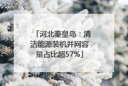 河北秦皇岛：清洁能源装机并网容量占比超57%