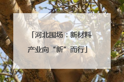 河北围场：新材料产业向“新”而行