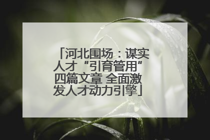 河北围场：谋实人才“引育管用”四篇文章 全面激发人才动力引擎