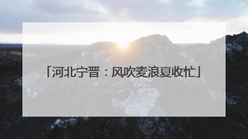 河北宁晋：风吹麦浪夏收忙