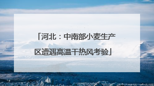河北：中南部小麦生产区遭遇高温干热风考验