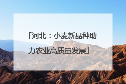 河北：小麦新品种助力农业高质量发展