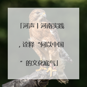 河声丨河南实践，诠释“何以中国”的文化底气