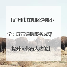 泸州市江阳区通滩小学：展示课后服务成果 提升文化育人功能