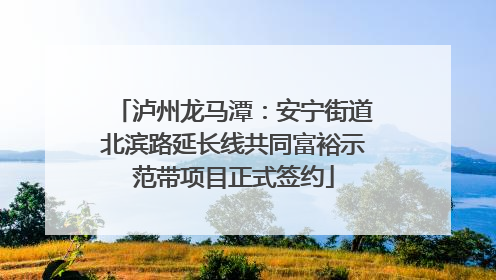 泸州龙马潭：安宁街道北滨路延长线共同富裕示范带项目正式签约