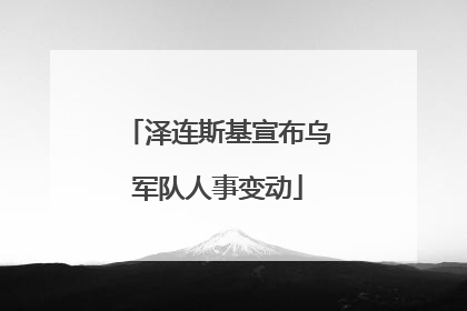 泽连斯基宣布乌军队人事变动