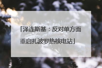 泽连斯基：反对单方面重启扎波罗热核电站