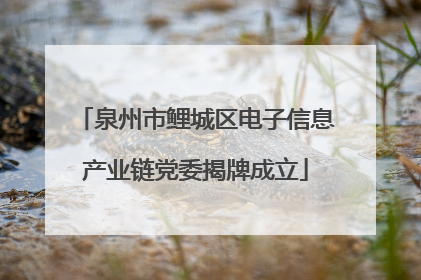 泉州市鲤城区电子信息产业链党委揭牌成立