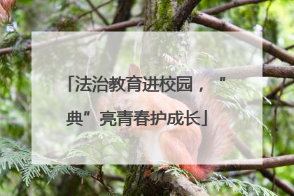 法治教育进校园，“典”亮青春护成长