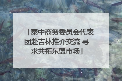 泰中商务委员会代表团赴吉林推介交流 寻求共拓东盟市场