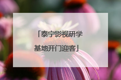 泰宁影视研学基地开门迎客