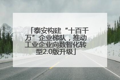泰安构建“十百千万”企业梯队，推动工业企业向数智化转型2.0版升级