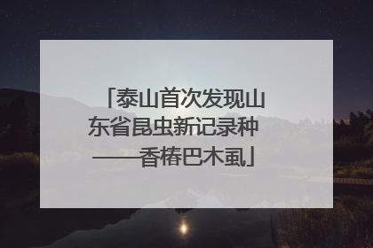 泰山首次发现山东省昆虫新记录种——香椿巴木虱