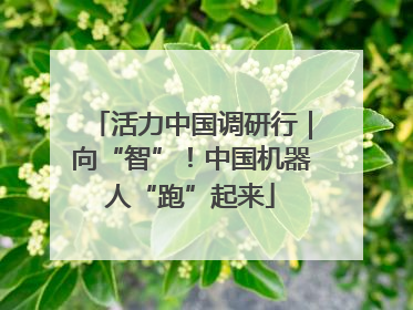 活力中国调研行｜向“智”！中国机器人“跑”起来
