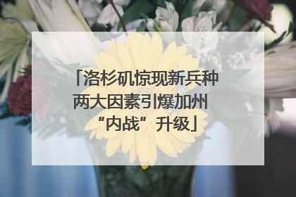 洛杉矶惊现新兵种 两大因素引爆加州“内战”升级
