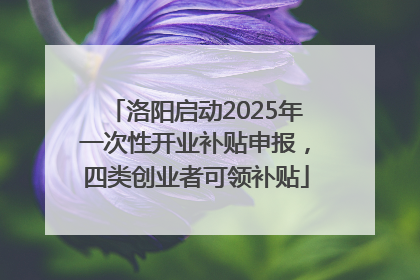 洛阳启动2025年一次性开业补贴申报，四类创业者可领补贴