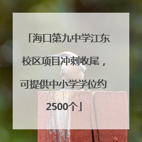 海口第九中学江东校区项目冲刺收尾，可提供中小学学位约2500个