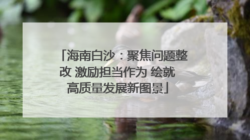 海南白沙：聚焦问题整改 激励担当作为 绘就高质量发展新图景