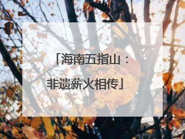海南五指山：非遗薪火相传