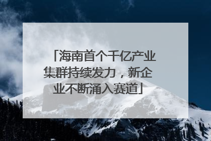 海南首个千亿产业集群持续发力，新企业不断涌入赛道