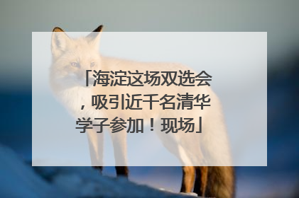 海淀这场双选会，吸引近千名清华学子参加！现场