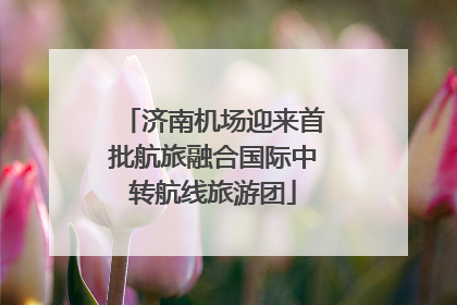 济南机场迎来首批航旅融合国际中转航线旅游团