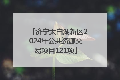 济宁太白湖新区2024年公共资源交易项目121项
