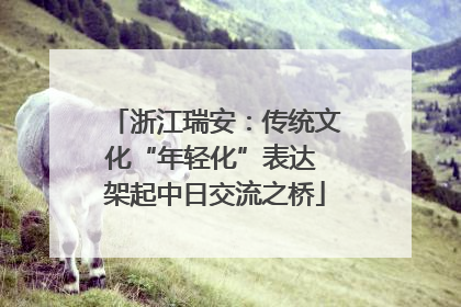 浙江瑞安：传统文化“年轻化”表达 架起中日交流之桥