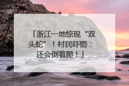 浙江一地惊现“双头蛇”！村民吓懵：还会倒着爬！