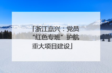 浙江嘉兴：党员“红色专班”护航重大项目建设