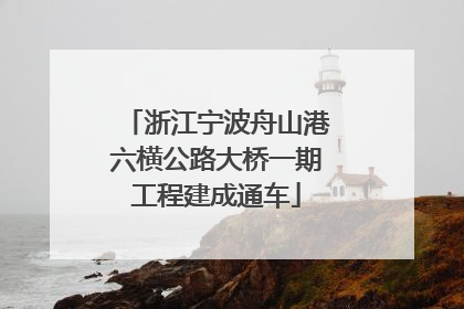 浙江宁波舟山港六横公路大桥一期工程建成通车