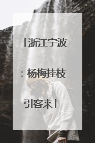 浙江宁波：杨梅挂枝引客来