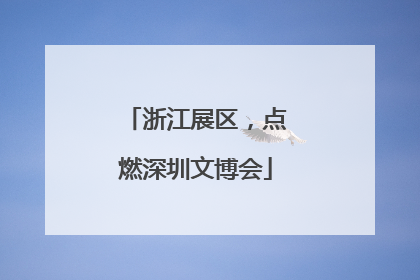 浙江展区，点燃深圳文博会