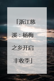 浙江慈溪：杨梅之乡开启丰收季