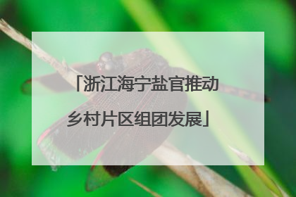 浙江海宁盐官推动乡村片区组团发展