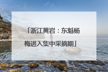 浙江黄岩：东魁杨梅进入集中采摘期