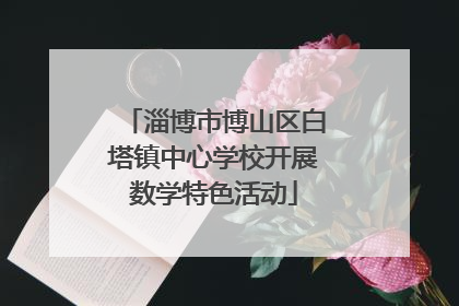 淄博市博山区白塔镇中心学校开展数学特色活动