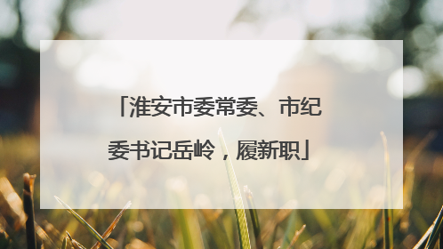 淮安市委常委、市纪委书记岳岭，履新职