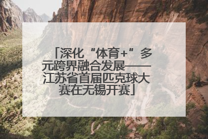 深化“体育+”多元跨界融合发展——江苏省首届匹克球大赛在无锡开赛