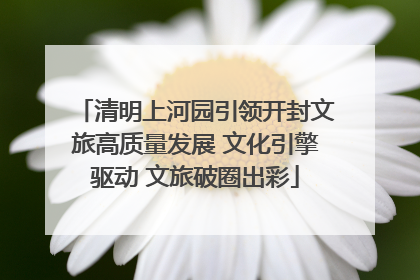 清明上河园引领开封文旅高质量发展 文化引擎驱动 文旅破圈出彩
