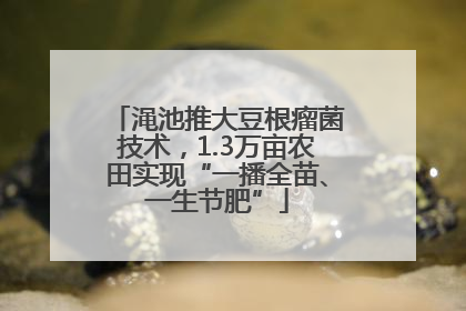 渑池推大豆根瘤菌技术，1.3万亩农田实现“一播全苗、一生节肥”