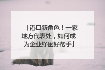 港口新角色！一家地方代表处，如何成为企业纾困好帮手
